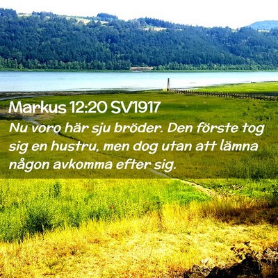 Picture 02 - Markus 12:20 SV1917 - Nu voro här sju bröder. Den förste tog sig en - Bible Verse Picture