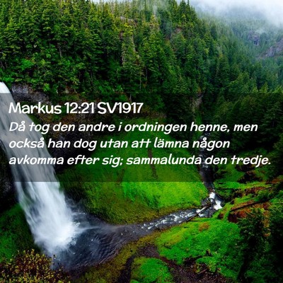 Picture 02 - Markus 12:21 SV1917 - Då tog den andre i ordningen henne, men också - Bible Verse Picture