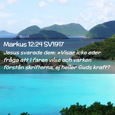 Picture 02 - Markus 12:24 SV1917 - Jesus svarade dem: »Visar icke eder fråga att I - Bible Verse Picture