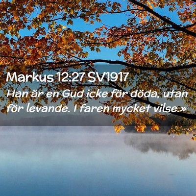 Picture 02 - Markus 12:27 SV1917 - Han är en Gud icke för döda, utan för - Bible Verse Picture