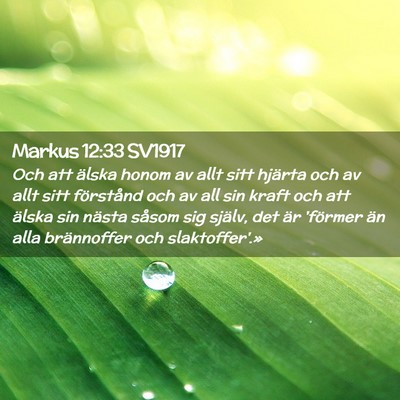 Picture 02 - Markus 12:33 SV1917 - Och att älska honom av allt sitt hjärta och av - Bible Verse Picture