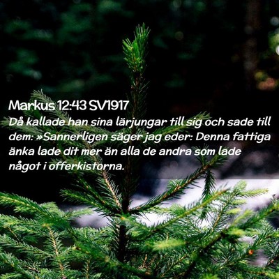Picture 02 - Markus 12:43 SV1917 - Då kallade han sina lärjungar till sig och sade - Bible Verse Picture