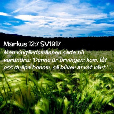 Picture 02 - Markus 12:7 SV1917 - Men vingårdsmännen sade till varandra: 'Denne - Bible Verse Picture