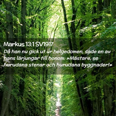 Picture 02 - Markus 13:1 SV1917 - Då han nu gick ut ur helgedomen, sade en av hans - Bible Verse Picture