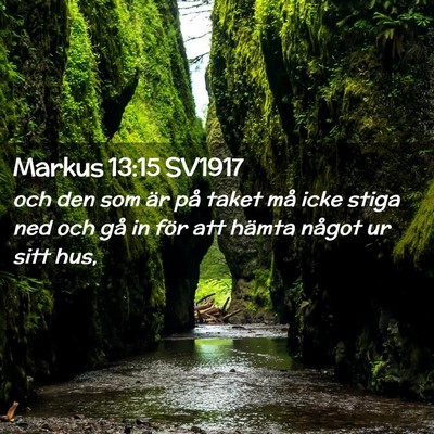 Picture 02 - Markus 13:15 SV1917 - och den som är på taket må icke stiga ned och - Bible Verse Picture