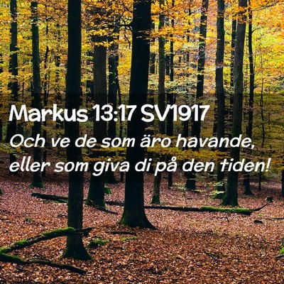 Picture 02 - Markus 13:17 SV1917 - Och ve de som äro havande, eller som giva di på - Bible Verse Picture