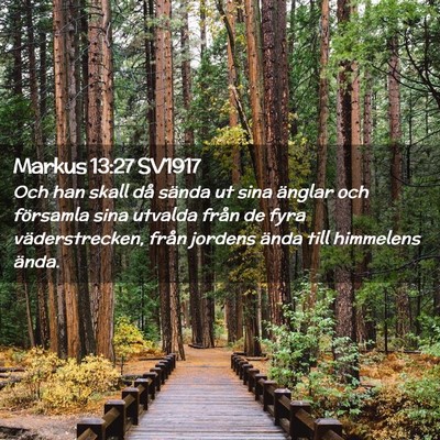 Picture 02 - Markus 13:27 SV1917 - Och han skall då sända ut sina änglar och - Bible Verse Picture