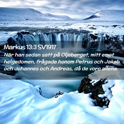 Picture 02 - Markus 13:3 SV1917 - När han sedan satt på Oljeberget, mitt emot - Bible Verse Picture