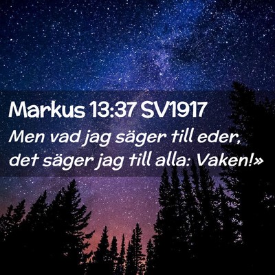 Picture 02 - Markus 13:37 SV1917 - Men vad jag säger till eder, det säger jag till - Bible Verse Picture