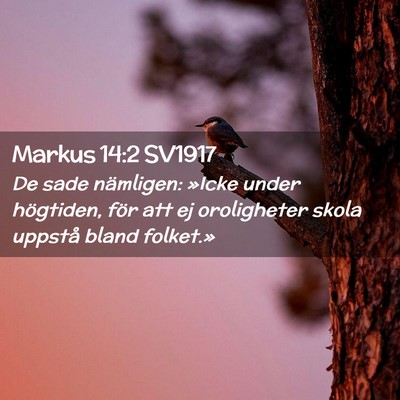 Picture 02 - Markus 14:2 SV1917 - De sade nämligen: »Icke under högtiden, för - Bible Verse Picture