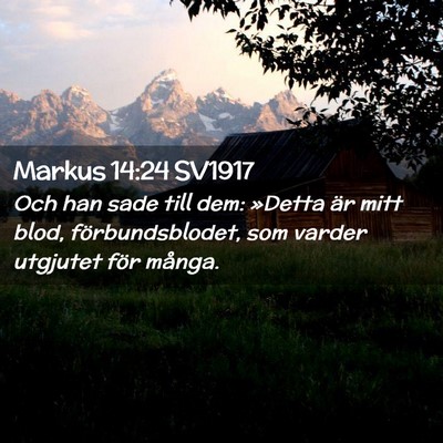 Picture 02 - Markus 14:24 SV1917 - Och han sade till dem: »Detta är mitt blod, - Bible Verse Picture