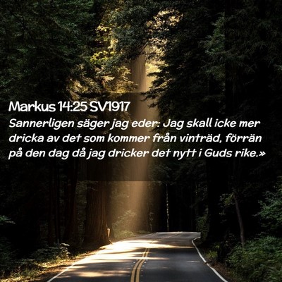 Picture 02 - Markus 14:25 SV1917 - Sannerligen säger jag eder: Jag skall icke mer - Bible Verse Picture