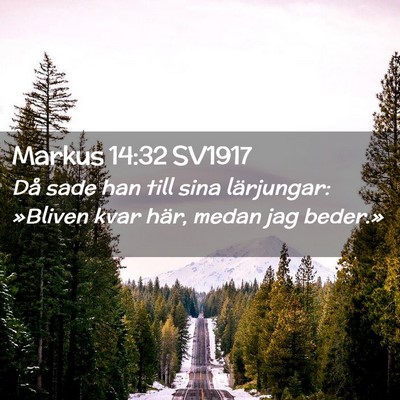 Picture 02 - Markus 14:32 SV1917 - Då sade han till sina lärjungar: »Bliven kvar - Bible Verse Picture