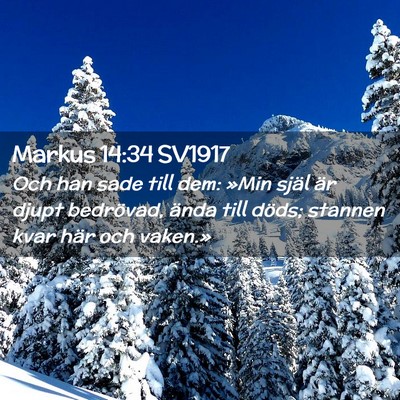 Picture 02 - Markus 14:34 SV1917 - Och han sade till dem: »Min själ är djupt - Bible Verse Picture