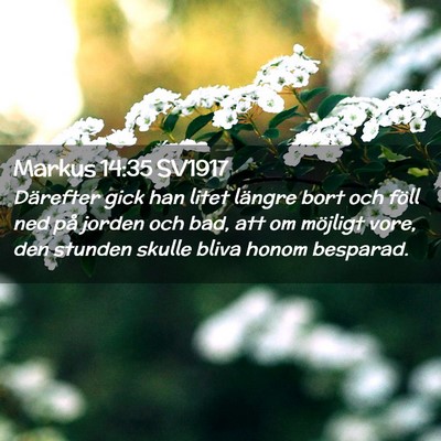 Picture 02 - Markus 14:35 SV1917 - Därefter gick han litet längre bort och föll - Bible Verse Picture