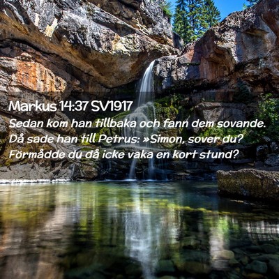 Picture 02 - Markus 14:37 SV1917 - Sedan kom han tillbaka och fann dem sovande. Då - Bible Verse Picture