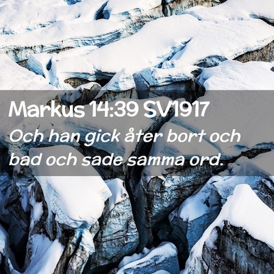 Picture 02 - Markus 14:39 SV1917 - Och han gick åter bort och bad och sade samma - Bible Verse Picture