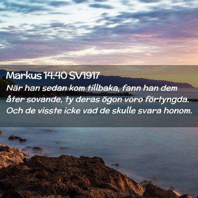 Picture 02 - Markus 14:40 SV1917 - När han sedan kom tillbaka, fann han dem åter - Bible Verse Picture