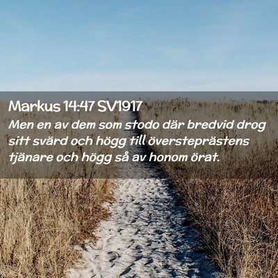 Picture 02 - Markus 14:47 SV1917 - Men en av dem som stodo där bredvid drog sitt - Bible Verse Picture