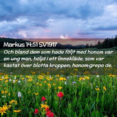 Picture 02 - Markus 14:51 SV1917 - Och bland dem som hade följt med honom var en - Bible Verse Picture