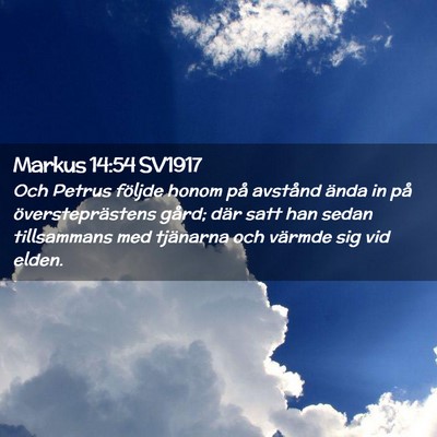 Picture 02 - Markus 14:54 SV1917 - Och Petrus följde honom på avstånd ända in - Bible Verse Picture