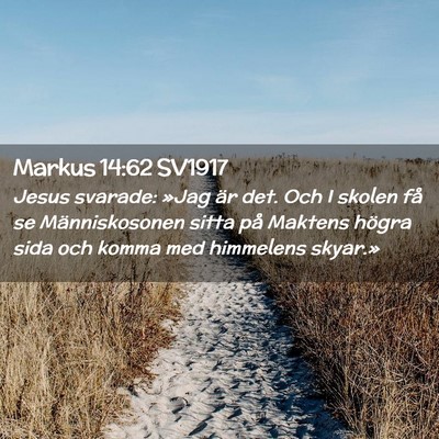 Picture 02 - Markus 14:62 SV1917 - Jesus svarade: »Jag är det. Och I skolen få se - Bible Verse Picture