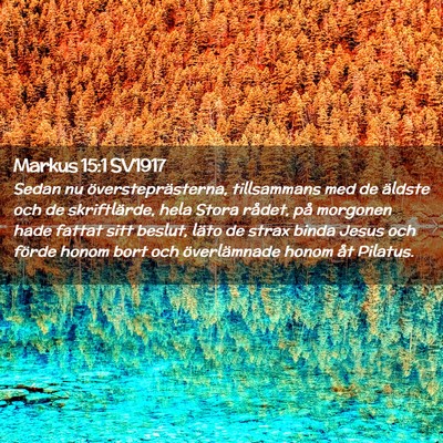 Picture 02 - Markus 15:1 SV1917 - Sedan nu översteprästerna, tillsammans med de - Bible Verse Picture