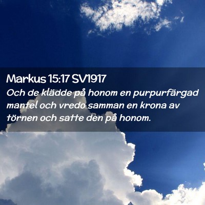 Picture 02 - Markus 15:17 SV1917 - Och de klädde på honom en purpurfärgad mantel - Bible Verse Picture