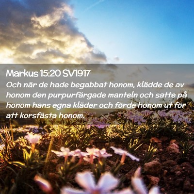 Picture 02 - Markus 15:20 SV1917 - Och när de hade begabbat honom, klädde de av - Bible Verse Picture
