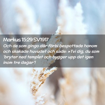 Picture 02 - Markus 15:29 SV1917 - Och de som gingo där förbi bespottade honom och - Bible Verse Picture