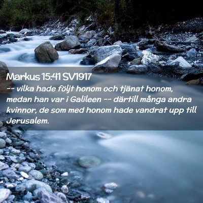 Picture 02 - Markus 15:41 SV1917 - -- vilka hade följt honom och tjänat honom, - Bible Verse Picture