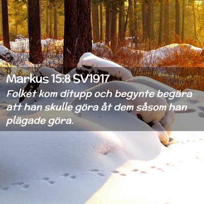 Picture 02 - Markus 15:8 SV1917 - Folket kom ditupp och begynte begära att han - Bible Verse Picture