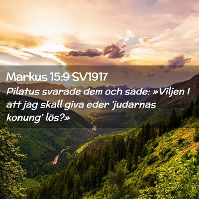 Picture 02 - Markus 15:9 SV1917 - Pilatus svarade dem och sade: »Viljen I att jag - Bible Verse Picture