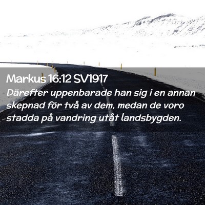 Picture 02 - Markus 16:12 SV1917 - Därefter uppenbarade han sig i en annan skepnad - Bible Verse Picture