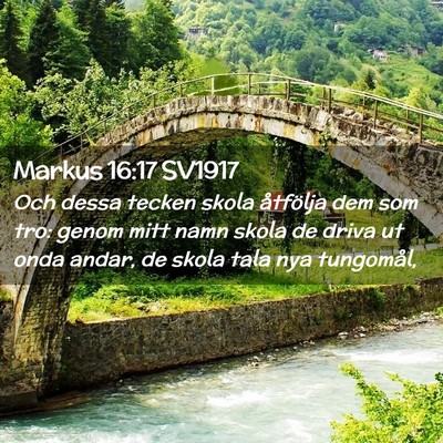 Picture 02 - Markus 16:17 SV1917 - Och dessa tecken skola åtfölja dem som tro: - Bible Verse Picture