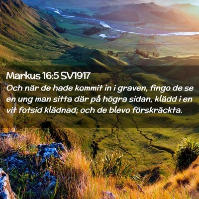 Picture 02 - Markus 16:5 SV1917 - Och när de hade kommit in i graven, fingo de se - Bible Verse Picture