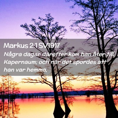 Picture 02 - Markus 2:1 SV1917 - Några dagar därefter kom han åter till - Bible Verse Picture