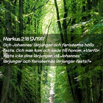 Picture 02 - Markus 2:18 SV1917 - Och Johannes' lärjungar och fariséerna höllo - Bible Verse Picture