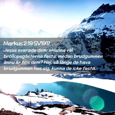 Picture 02 - Markus 2:19 SV1917 - Jesus svarade dem: »Kunna väl - Bible Verse Picture