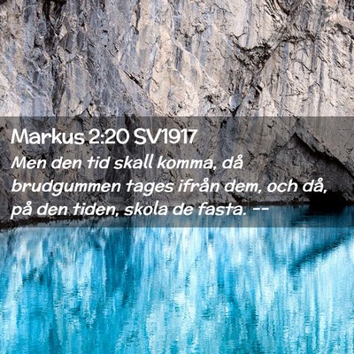 Picture 02 - Markus 2:20 SV1917 - Men den tid skall komma, då brudgummen tages - Bible Verse Picture