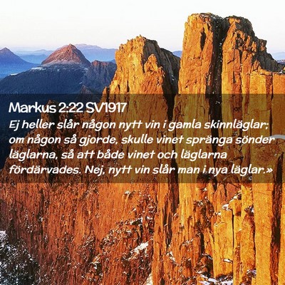 Picture 02 - Markus 2:22 SV1917 - Ej heller slår någon nytt vin i gamla - Bible Verse Picture