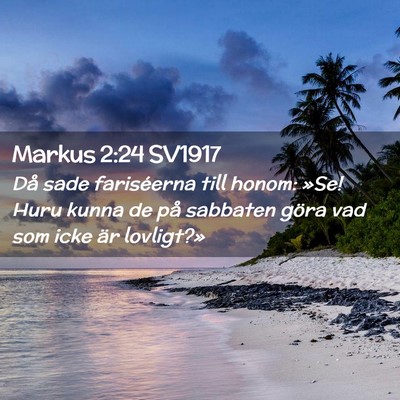 Picture 02 - Markus 2:24 SV1917 - Då sade fariséerna till honom: »Se! Huru kunna - Bible Verse Picture