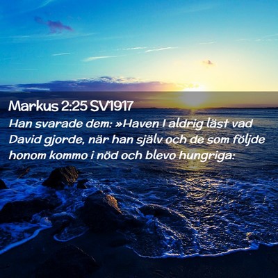 Picture 02 - Markus 2:25 SV1917 - Han svarade dem: »Haven I aldrig läst vad David - Bible Verse Picture