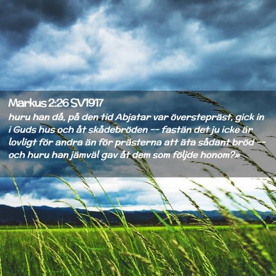 Picture 02 - Markus 2:26 SV1917 - huru han då, på den tid Abjatar var - Bible Verse Picture