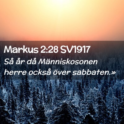 Picture 02 - Markus 2:28 SV1917 - Så år då Människosonen herre också över - Bible Verse Picture