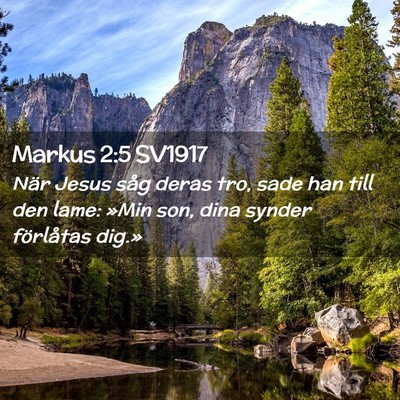 Picture 02 - Markus 2:5 SV1917 - När Jesus såg deras tro, sade han till den - Bible Verse Picture