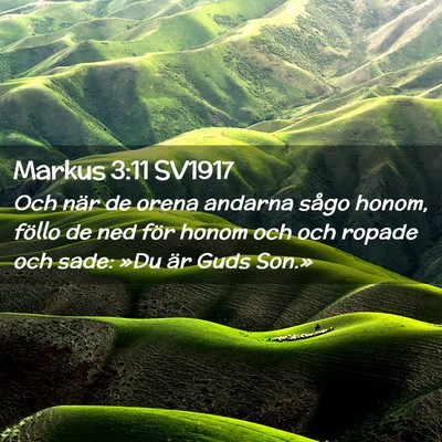 Picture 02 - Markus 3:11 SV1917 - Och när de orena andarna sågo honom, föllo de - Bible Verse Picture