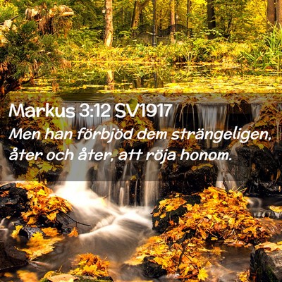 Picture 02 - Markus 3:12 SV1917 - Men han förbjöd dem strängeligen, åter och - Bible Verse Picture