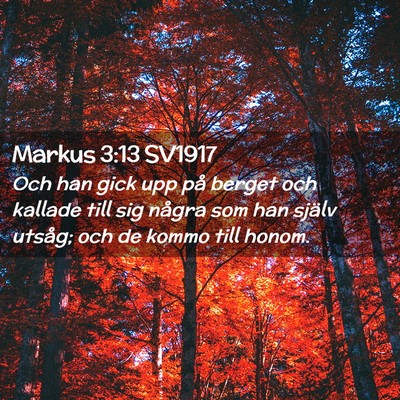 Picture 02 - Markus 3:13 SV1917 - Och han gick upp på berget och kallade till sig - Bible Verse Picture