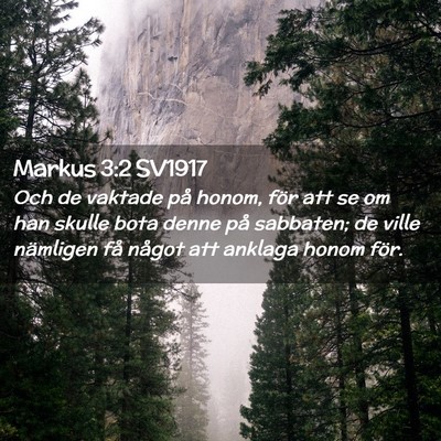 Picture 02 - Markus 3:2 SV1917 - Och de vaktade på honom, för att se om han - Bible Verse Picture